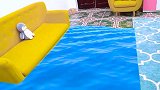 萌娃小可爱这是在做什么呀踩着靠枕玩水上漂吗好可爱呀！