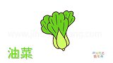 蔬菜简笔画大全，画油菜简笔画