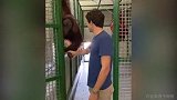 猝不及防一脸惊恐！阿隆索跟猩猩互动突遭搂脖强吻