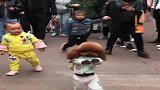 这泰迪狗狗好聪明，引来好多路人围观！