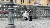德国一名热心老妇人抓住一只迷路的天鹅 将其扔回河里