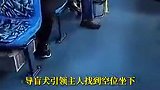 导盲犬与主人乘公交车无障碍通行 热心乘客让导盲犬先上车 网友：呼和浩特 一座有温度的城市！