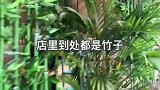 可爱的熊猫主题串串，蘸碟装在盖碗茶里