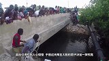 农夫半夜听到有动物惨叫声，起身一看乐坏了！镜头记录全过程