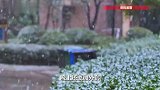 返程大军遇南北气温差！男子毛衣换短袖又过一次夏天