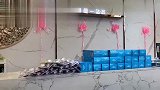 #佩琪国际家文化福利日生活是海，职业是舟