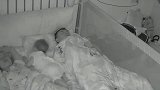 半夜醒来想喝奶，掀开被子错把爸爸当妈妈