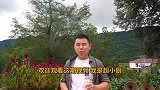 超小厨进深山采蜂蜜，第一次见这样操作！吃农家菜炖土鸡，真带劲