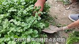 朋友打来电话，想要回借给小凯的5000元，看小凯咋做的