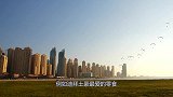 迪拜土豪最爱的零食，一斤高达三百块，为啥中国人却觉得不值得？