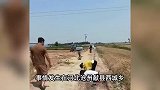 收割机碰到电线农机手触电，两女子跪地按压抢救，医院：没救过来