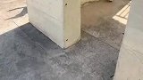 三只狗狗玩游戏，这样能一直玩到天黑吧