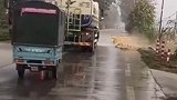 村民公路上晒玉米，洒水车路过浇个透心凉，网友各有各的错