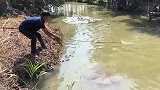 这一网下去，整个菜市场的鱼都有了！