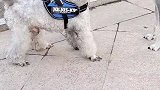 纯纯的窝里横