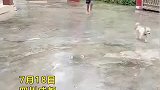 _12岁小叔带侄女出门玩遭遇大雨却“一人”回家