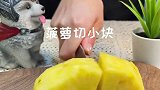每天都要来一杯天然高维C的刺柠吉特调！天然高维c好喝刺柠吉