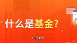 什么是基金？