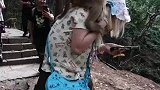 快看，猴哥又欺负美女啦