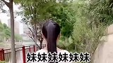 李爆笑字少了木到底是什么字