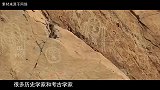 内蒙古挖出夫妻墓，夫妻依偎，专家：1000年，终于找到了