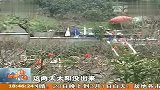 天气寒冷又遇闰四月 龙泉桃花晚开半月 120227 新闻现场