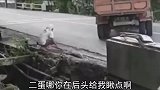 低头弯腰，是为了飞得更高！