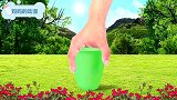 蚂蚱蝴蝶蜜蜂瓢虫螳螂进入魔法杯 动物动漫