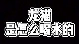 一直有朋友问龙猫怎么喝水的