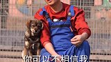 你肯定不知道，怀孕可以照样养狗关爱流浪犬 流浪狗  星探家