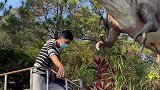 小伙子摸一摸要三百多的喔……