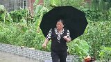 雨天小表妹来玩，桃子妈做尖椒爆炒章鱼哥，一盘吃完了还不够