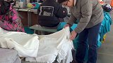 我今天帮老婆来监工了，大家看，我像是一个大老板吗？ 热门 大顺妈妈
