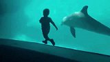海豚和小朋友玩得不亦乐乎！