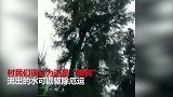 湛江“神树”不停流水 村民供奉排队取水