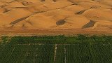 中国最新科研成果 将8000亩沙地变成绿洲 真厉害