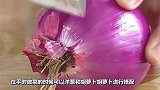 洋葱和它天生一对，同吃给血管“洗个澡”，降三高，身体会感谢你
