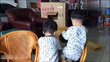 双胞胎小哥俩为一把椅子争得不可开交,却对旁边的空椅子熟视无睹