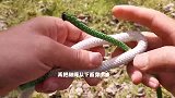 你知道粗细绳怎么对接才结实吗，这个打结方法一定要看下