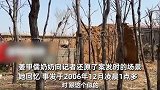 姜甲儒被抢后爷爷不敢在家睡，奶奶还原事发经过：嫌犯蒙头闯入