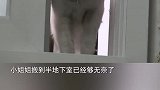 猫咪的迷惑行为糟糕，我被猫盯上了！
