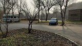 带着狗狗自驾游到了大城市铁岭，公园遛狗不准狗狗进入，留念撤退