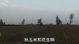 今年的小麦为什么要晚播？什么时间播种最好？这才是最佳播种时间