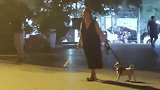 女子一手牵狗一手打球，狗狗被拽的来回跑