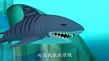 海底小纵队：救援队的船出问题了，后面还有虎鲨，他好危险啊