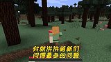 我的世界：萌新问得最多的5大问题，最后一个我回答不了