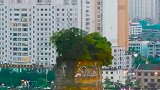 专业版拍的滑动变焦，其实手机也可以拍的。想学吗？