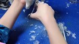 一动也不动，像极了一只狗宝宝玩具