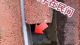 现在盖房子都这么随便了吗