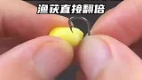 新手必学！挂玉米的正确方法！你学会了吗？